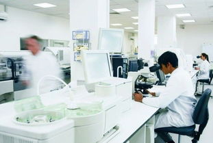 玫瑰綻放富陽(yáng)，國(guó)妝筑夢(mèng)未來(lái) 記杭州好公司的民族品牌之路